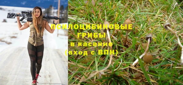индика Богданович