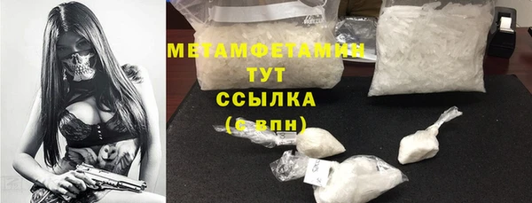 индика Богданович