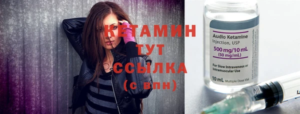 индика Богданович