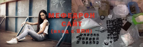 индика Богданович