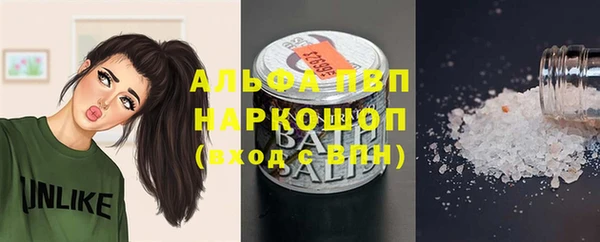 индика Богданович