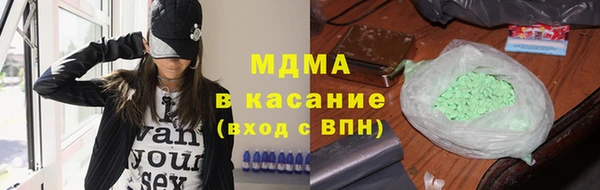 индика Богданович