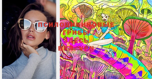 индика Богданович