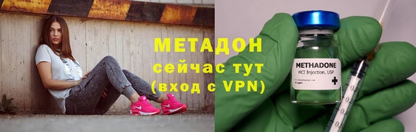 индика Богданович