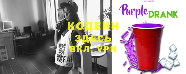 индика Богданович
