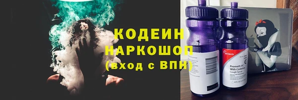 индика Богданович