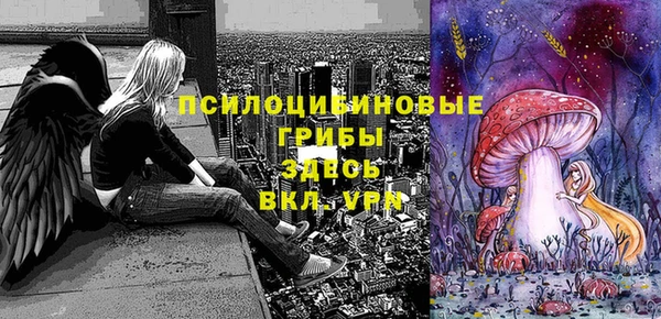 эйфоретик Богородицк