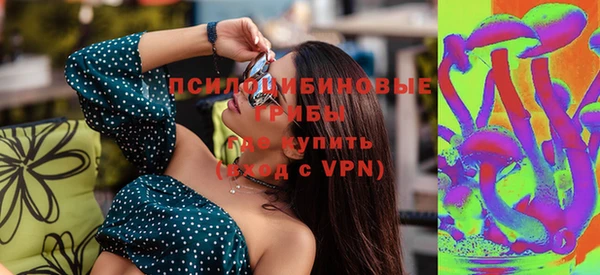 индика Богданович