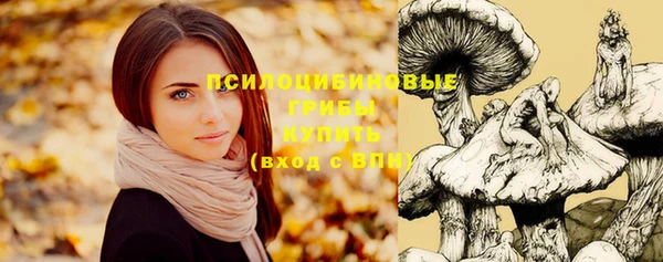 эйфоретик Богородицк