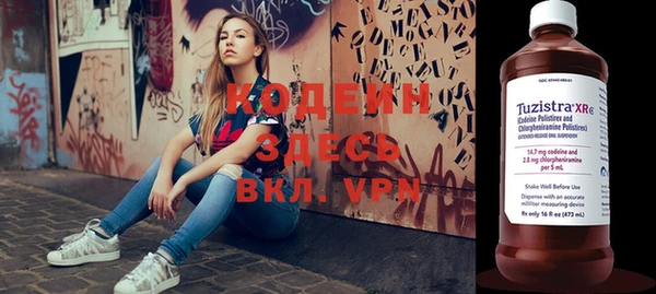 индика Богданович
