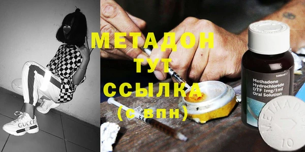 индика Богданович