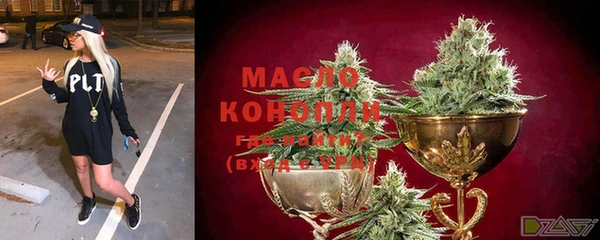 индика Богданович