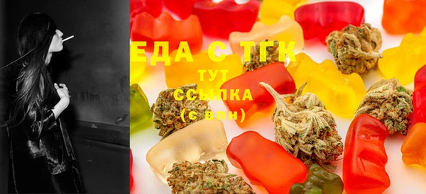 индика Богданович