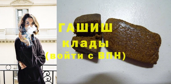 индика Богданович