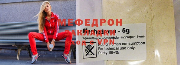 индика Богданович
