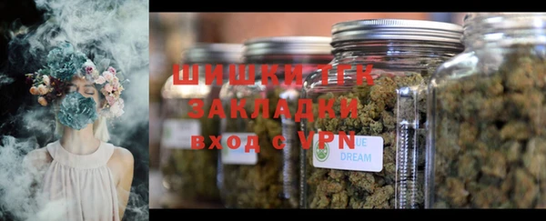 индика Богданович